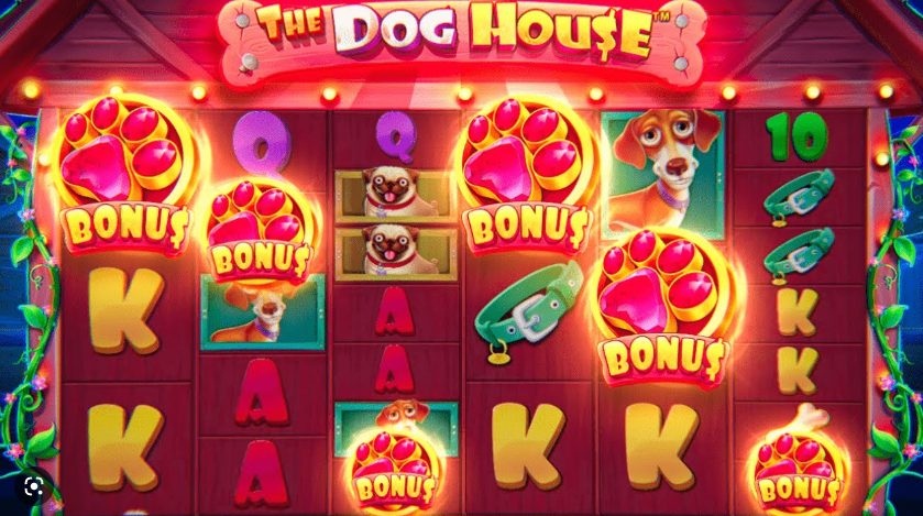 Dog House Bonus