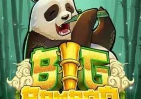 BIG BAMBOO (Push Gaming) Review