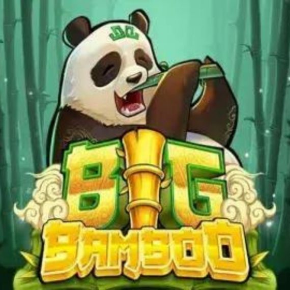 BIG BAMBOO (Push Gaming) Review